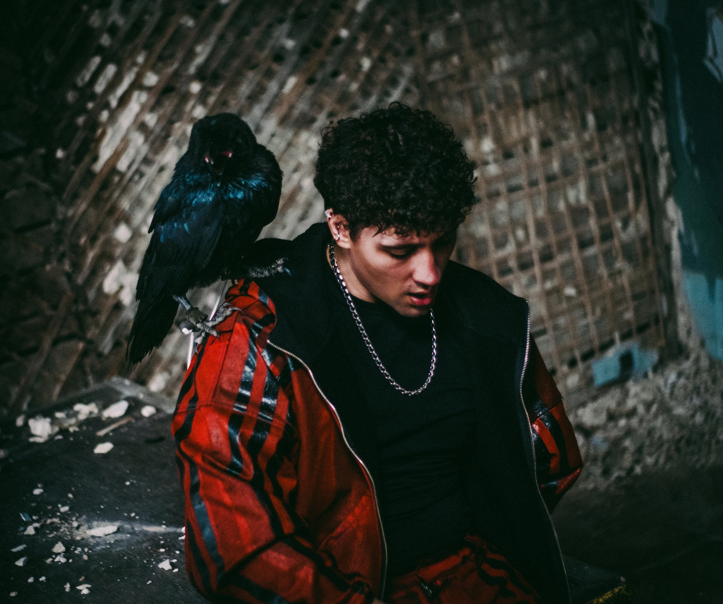 DISTEYO with a black crow